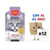 Wanpy Ördek Etli Kedi Çorbası 50 Gr 12’li Paket