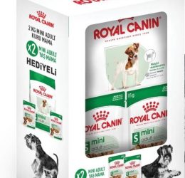 Royal Canin Mini Adult Köpek Maması 2 Kg + 2 Adet Yaş Mama