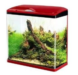 Sobo Komple Akvaryum 30x19x33,5 Cm Kirmizi
