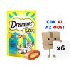 Dreamies Mix Somonlu ve Peynirli Kedi Ödülü 60 gr 6’lı Paket
