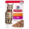 Hills Sığır Etli Yetişkin Kedi Konservesi 85 Gr