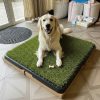 Greenpee Köpek Tuvaleti Çimli Büyük 61×81 cm