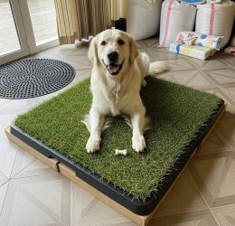 Greenpee Köpek Tuvaleti Çimli Büyük 61×81 cm