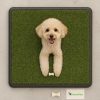 Greenpee Köpek Tuvaleti Çimli Büyük 40×60 cm