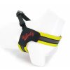 Tailpetz V-Tipi Köpek Göğüs Tasması Neon Sarı XS