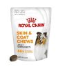 Royal Canin Deri ve Tüy Sağlığı Destekleyici Yetişkin Köpek Ödül Maması 240gr