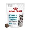 Royal Canin Eklem ve Yaşlanma Destekli Yetişkin Köpek Ödül Maması 240gr