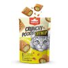 Wanpy Crunchy Pockets Catnipli ve Tavuklu Kedi Ödül Maması 60 gr