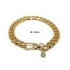 Petbucks Köpek Kolyesi Xsmall 25Cm (Gold)