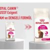 Royal Canin Fussy Exgient Seçici Kedilere Özel Yetişkin Kedi Maması 10 Kg